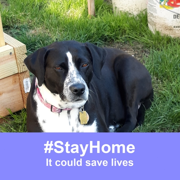 Meet your Posher, Michael - Picture 1 of 1